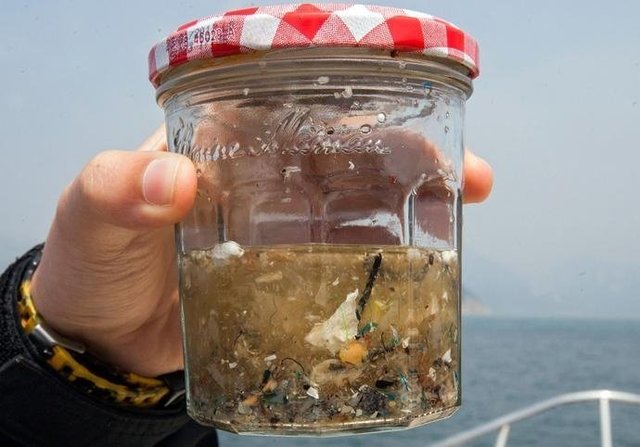 如果知道海洋中的塑料垃圾會(huì)進(jìn)入人類(lèi)肚子，你還會(huì)丟嗎？